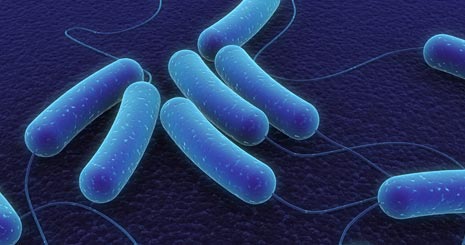 Legionella risk assessments